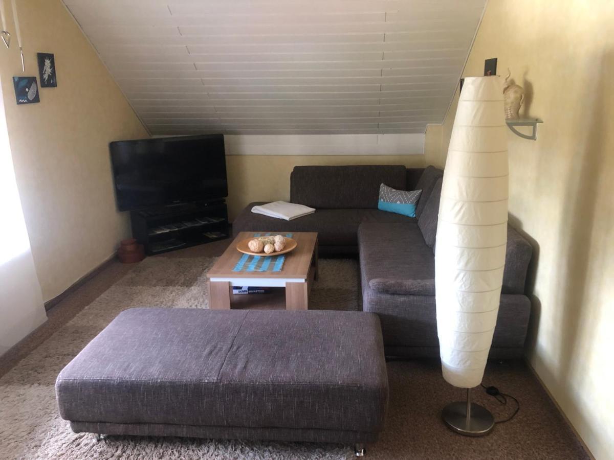 Apartment Ironico 4 Schlafzimmer 100 M2 Nahe Bostalsee